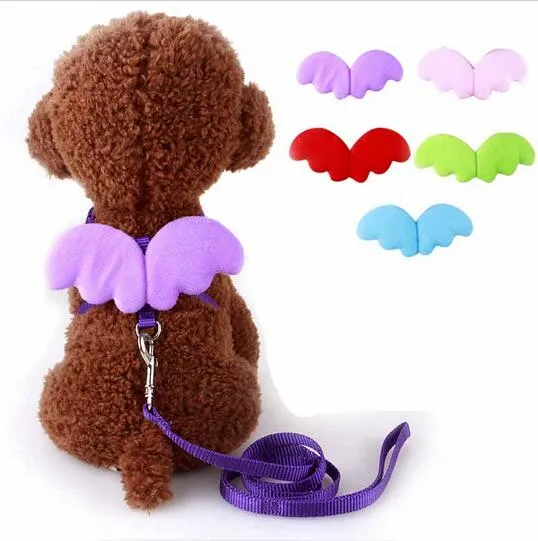 Cute Angel Pet Dog Leashes and Collars Set Puppy Leads for Small Dogs Cats Designer Wing Adjustable Dog Harness Pet Accessories HJIA1104