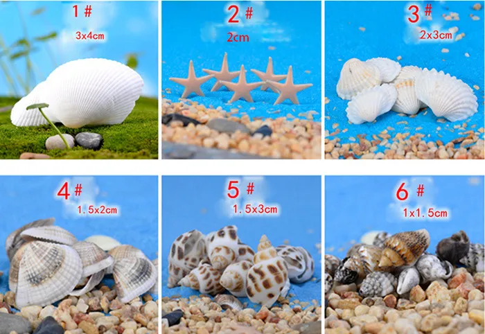 Shiping Free Multi Sizes 자연 쉘 Conch DIY 물고기 탱크 수족관 장식 또는 홈 가든 마이크로 조경 장식