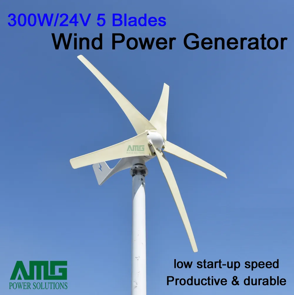 Gerador de energia eólica horizontal de 300W 12 / 24V, gerador de turbina CA, areogenerator, 5 lâminas, eixo do horizonte, baixa velocidade do Windspeed
