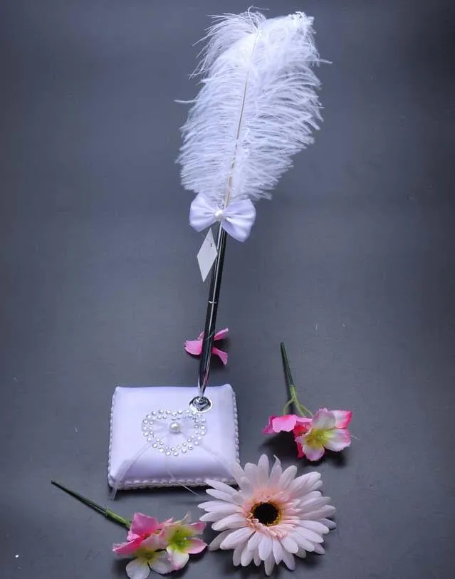 Vintage Style Party Decoration Reception Signature Guest Wedding Pen Set With Holder white feather Signing pens hen night event decors