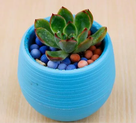 Ny Mini Round Shaped Plast Office Decor Succulents Flower Seed Planter