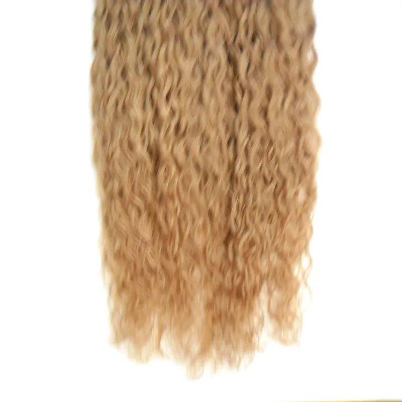 Cheveux vierges brésiliens miel blond bouclés Extensions de cheveux Micro Link 300g extensions de micro-anneaux de cheveux humains 1g/s 300s micro boucle 1g bouclés