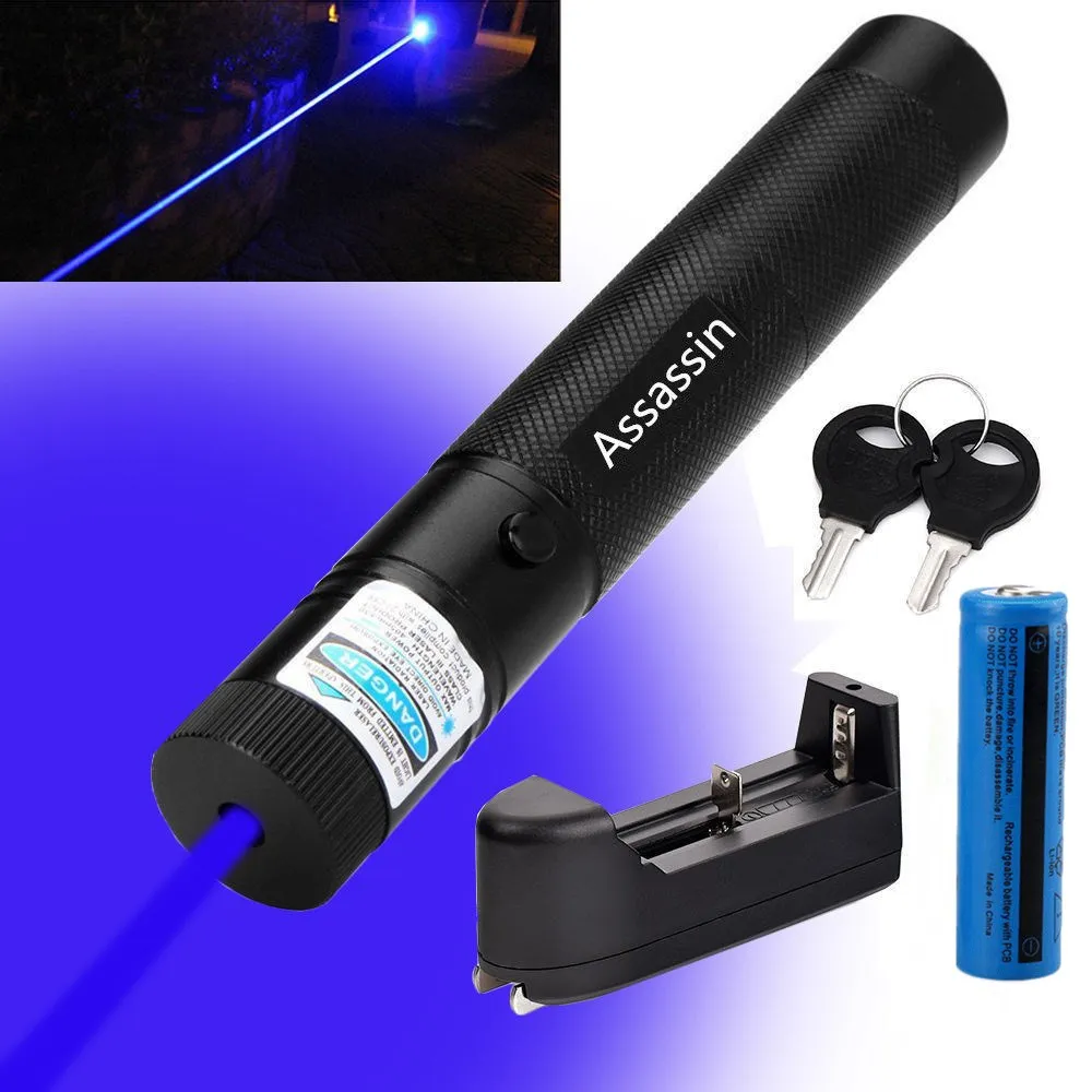 301 Powerful Blue Violet Laser Pen Pointer 405nm Beam Light Laser + 18650 Battery + Charger