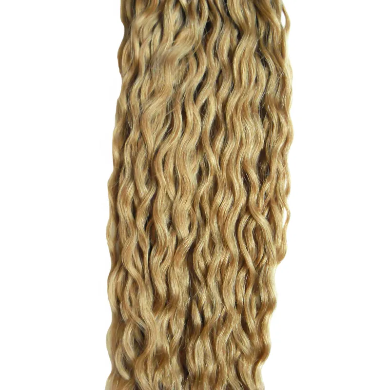 Cabello virginal brasileño miel rubia micro bucle extensiones de cabello humano rubio 27 100g rizado rizado micro bucle extensiones de cabello