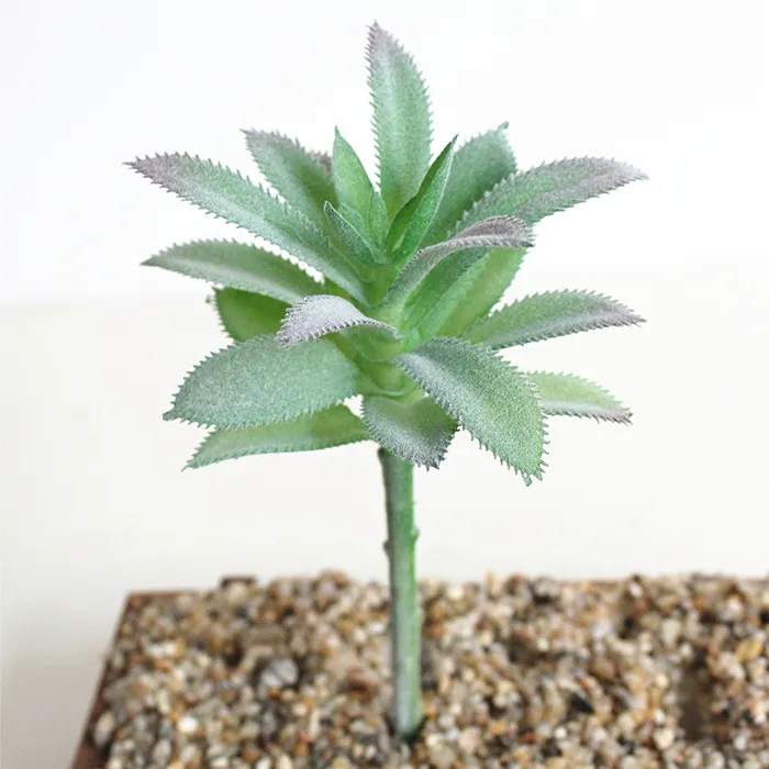 Faux de charme Artificielle Succulent Plantes Emulationnelle Cactus Plantes pour Office Home Decor Decor de mariage Mini fleur Décoration