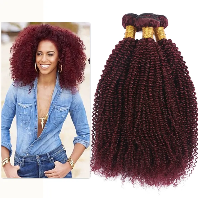 Save Big on Bulk Brazilian Kinky Curly Hair Weave Afro Kinky Curly Weave  Hair Extensions Burgundy Kinky Curly Weft, Bundles, 10 30 Inch Virgin  Hair