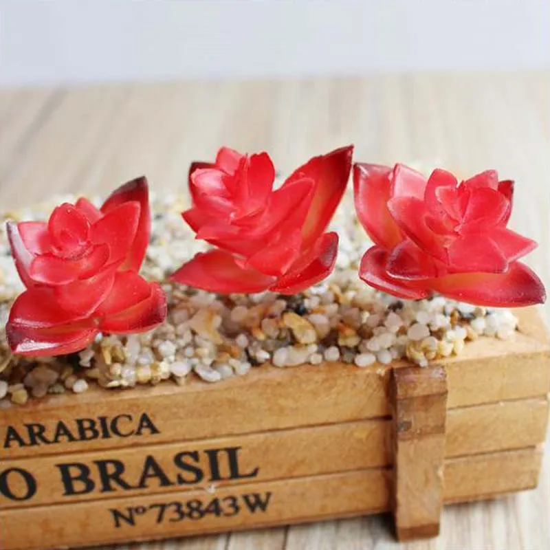 2017新しい造形赤多肉植物植物人工ミニ氷石/盆栽/鉢植えの家のバルコニー装飾装飾的な花送料無料