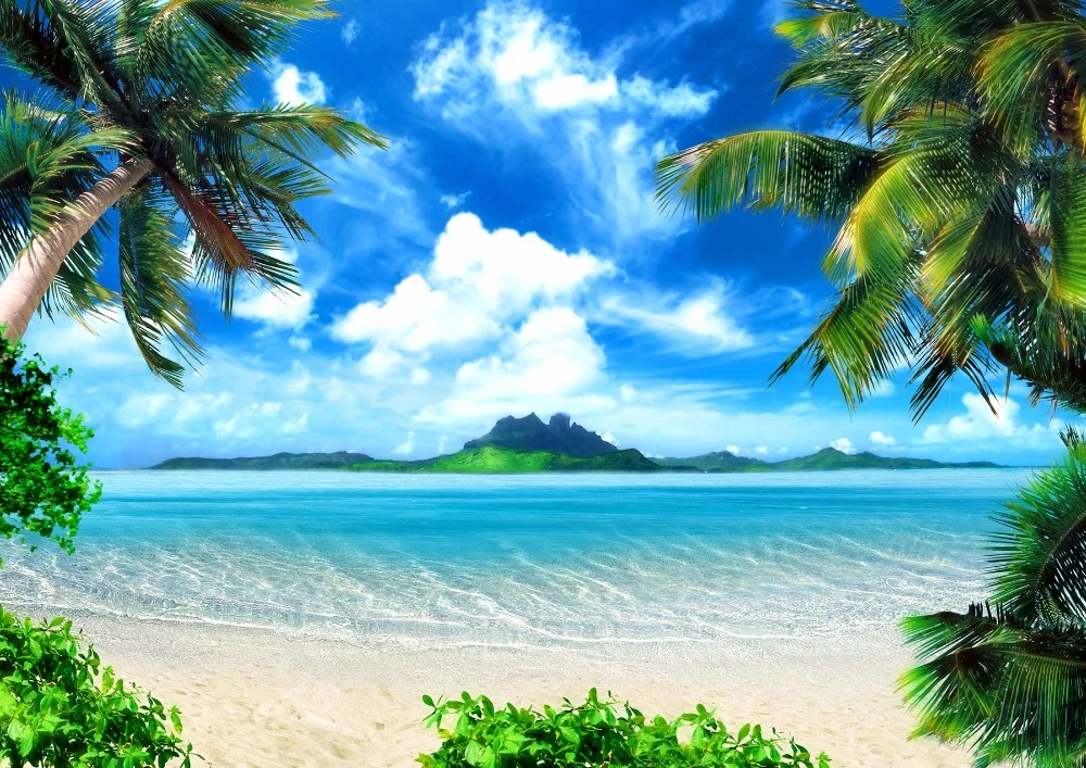 Toile de fond pour cabine Photo sur le thème des vacances d'été, plage, ciel bleu, île, palmiers, bord de mer, papier peint panoramique, Studio de photographie de mariage