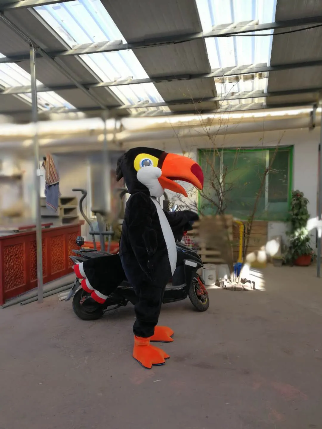 Högkvalitativa riktiga bilder Ramphastos Toco Mascot Kostym Mascot Tecknad Karaktär Kostym Vuxen Storlek Gratis frakt