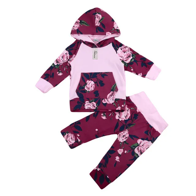 Pasgeboren baby meisje kleding set lente herfst cartoon bloem hooded t-shirt + bloemen broek 2 stks paars printen kinderen meisjes kleding sets