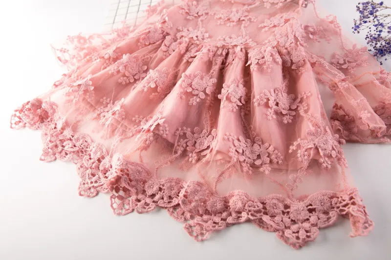 2017 new Fashion lace Princess Dresses Infant Toddler Clothes kids Clothing Baby Gift Children embroidery Flower Party Tulle Dress A313