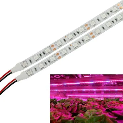 5m 5050 LED crescer Fita LED de luz Waterproof 12V Vermelho Azul luz crescido planta para a estufa hidropónica fábrica de lâmpadas crescente