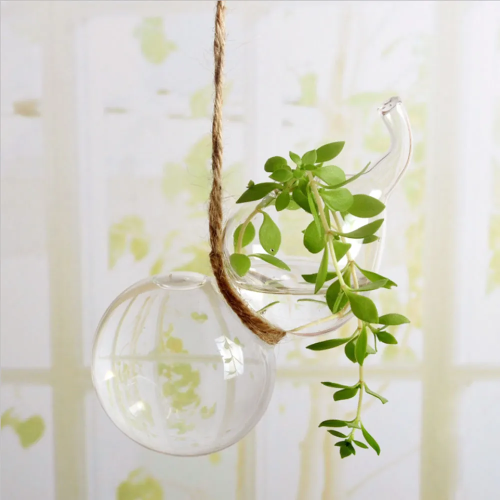 Set di 2 piante di vetro in vetro a forma di zucca in sospeso Terrario di piantatore di contenitori la casa la casa1394395