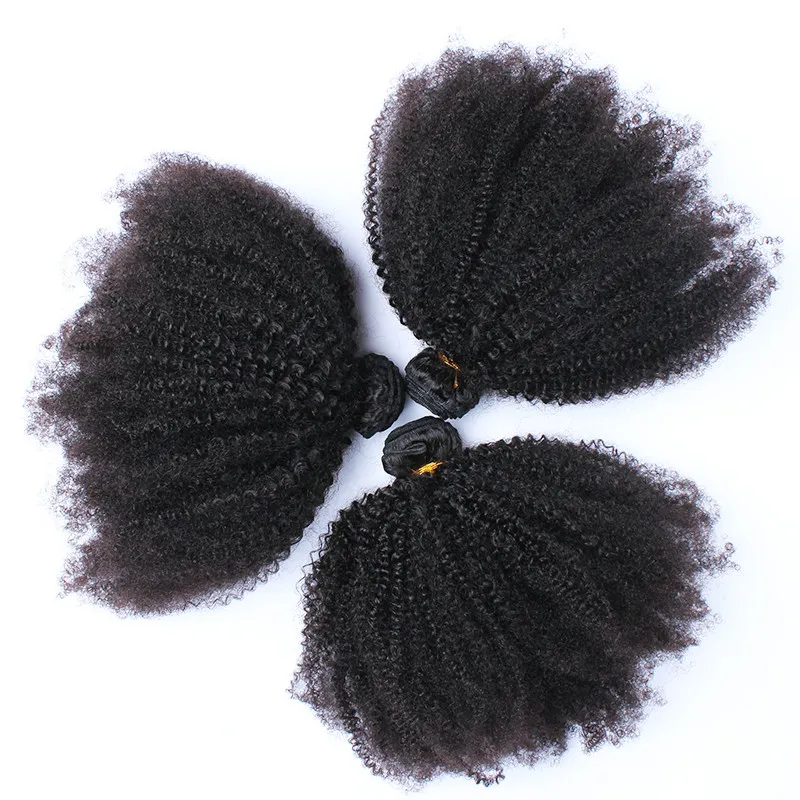 Brasiliansk Afro Kinky Curly 4 * 4 Lace Frontal Closure med hårbuntar Afro Curly Virgin Hair With Lace Closure Gratis frakt