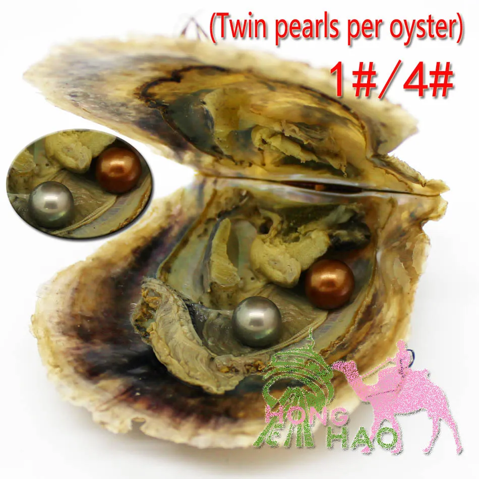 Fantastic wholesale round 6-7 mm vacuum packaging Wong 1# and 4 # color farming round sea Akoya oyster pearls bead