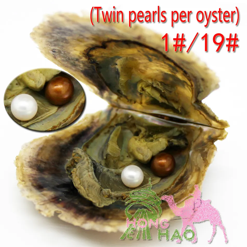 Wysokiej jakości supermarkety Pearl Najlepiej sprzedające się bliźniaki ostrygi z rundzie 4A6-7 mm Pearl Oyster Single Vacuum Packaging Prezent