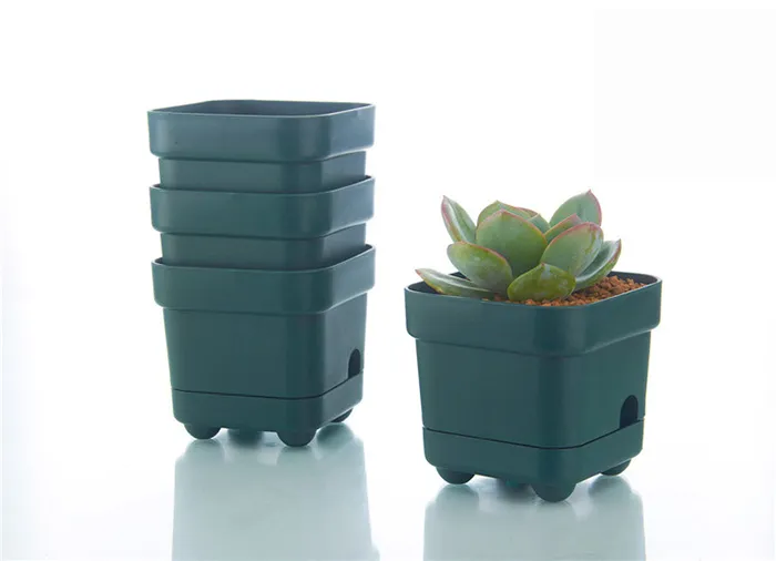 Commercio all'ingrosso 50 pz MOQ Green Water Reserve Automaticamente Fiore Bonsai Piantare Crescere Pot la casa giardino Succulente Crescere Decorazione