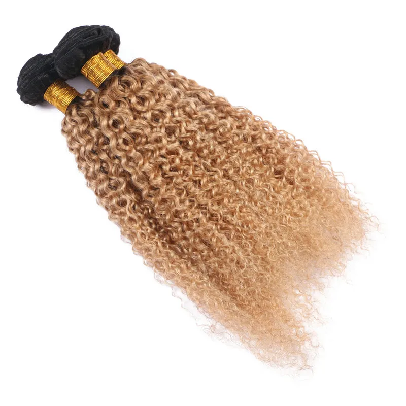 Kinky Curly Virgin Indian Honey Blonde Ombre Bundles de Tissage de Cheveux Humains Deux Tons 1B / 27 Brun Clair Ombre Extensions de Cheveux Humains