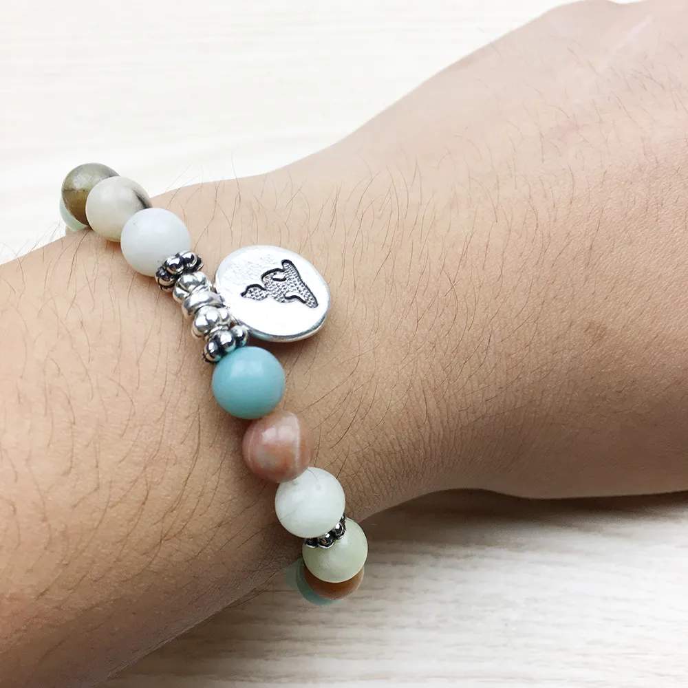 Sn1027 Ny design Rainbow Amazonite Armband Kvinnor Buddha Man Armband Armband Mala Healing Armband Lägsta pris Gratis frakt