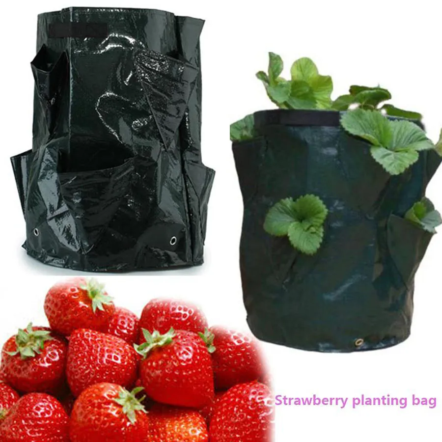 3 Bolsas Colgantes Para Fresas Y Plantas, Macetero Vertical De Tela Para Fresas, Tomates, Hierbas Y Verduras