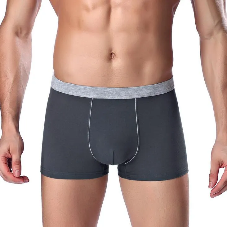 Newest arrival Solid color gray angle Underpants pants modal breathable men's underwear explosion models MU015 for men Underpant