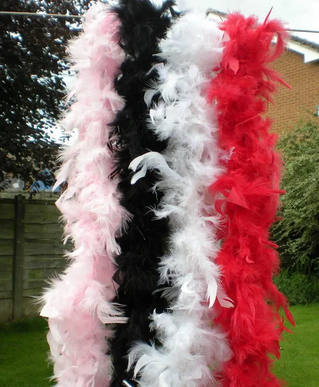 Feather boa 200cm burlesque showgirl hen night fancy dress party dance costume accessory wedding DIY decoration 17colors