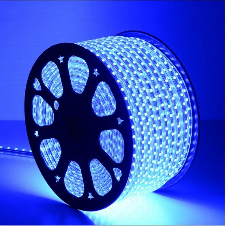 ابحث عن شرائح LED 100M 110V 220V SMD 5050 ROPE LIGHT IP67 Flex Strip Light