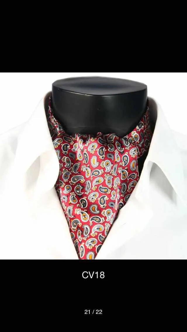 2017 Paisley Çiçek Nokta mens 100% Ipek Ascot Cravat, rahat iş Atkılar Eşarp Bağları Dokuma Parti Ascot FB kravat 5 adet / grup # 4031