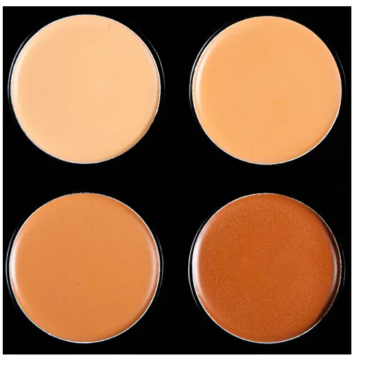 Concealer palette Face Cream Concealer Facial Care Camouflage Makeup Palette with Makeup Brushes 