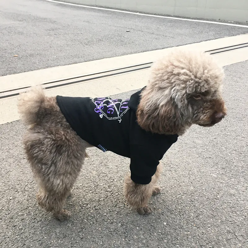Pet Friendly Hooded Sweater Pet Clothing Manufacturers Sweatshirts Hot Sale Dog Sweater Dog