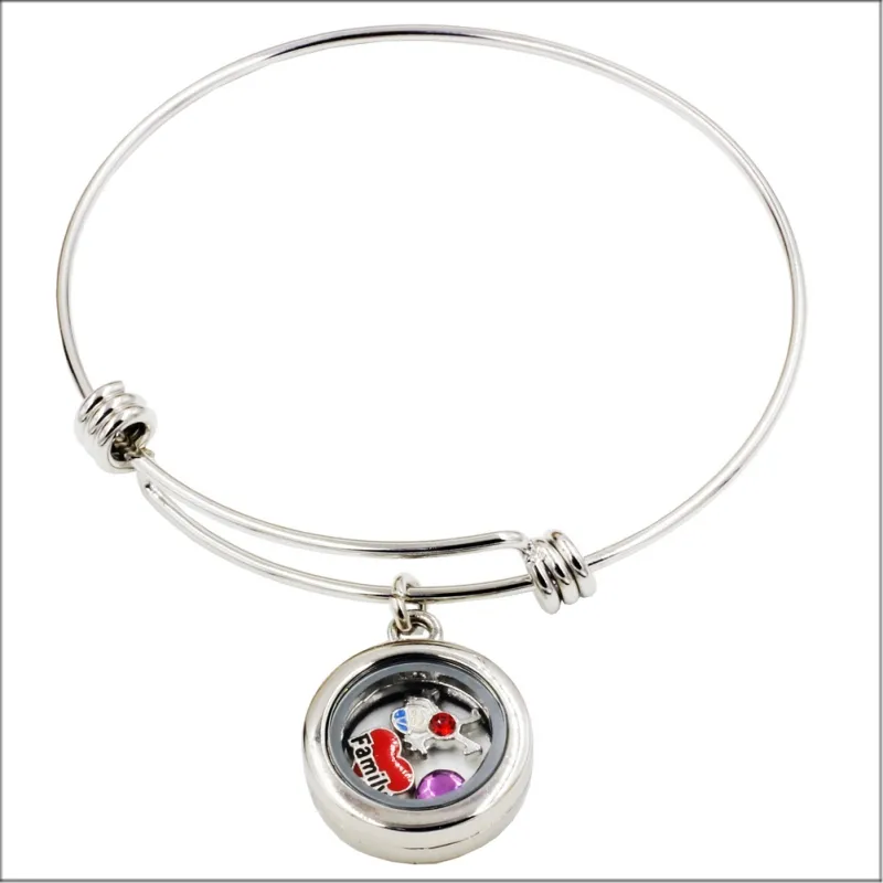 DIY Locket Bracelets Round Rhinestones Magnetic Glass Heart Charm Floating  Locket Bracelet Living Memory Locket Bangles Drop Ship From  Harrypotter_jewelry, $2.42 | DHgate.Com