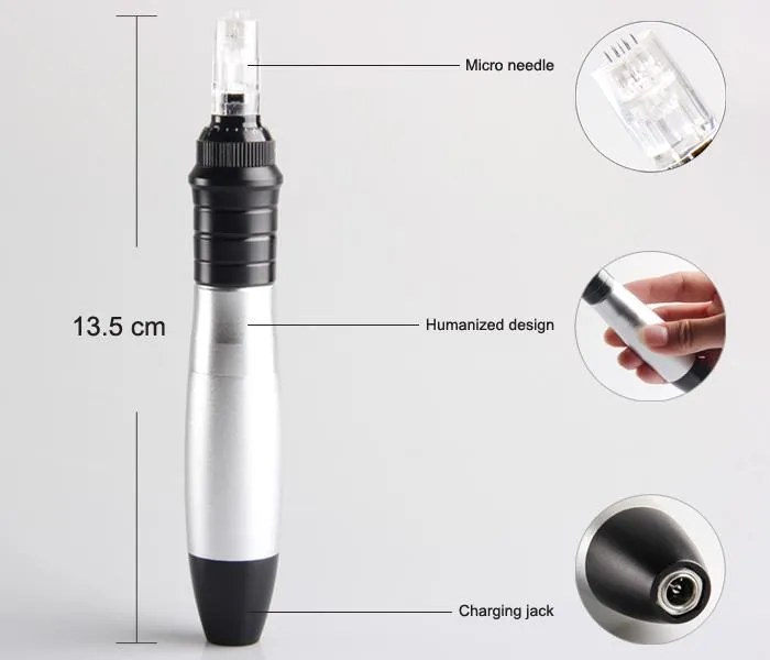 100 pièces aiguilles incluses électrique Derma stylo 12 broches boîte en aluminium emballage Derma timbre peau cutanée rouleau Derma peau stylo