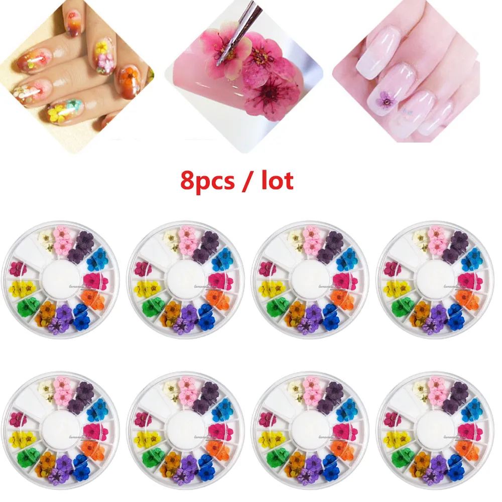 8pcs/set chiodi adesivi ruota a 12 colori fiore asciutto asciutto reale per gel UV 3D Acrilico Falso punte Salon Nail Art