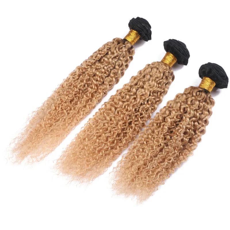 Kinky Curly Virgin Indian Honey Blonde Ombre Human Hair Weave Bundlar Två Tone 1B / 27 Ljusbrun Ombre Human Hair Extensions