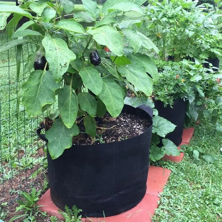 Galão de tecido não tecido para cultivo, alças redondas para vasos de tecido, bolsa para plantas, saco de crescimento de raiz, recipiente de aeração, 10 tamanhos c1832284073