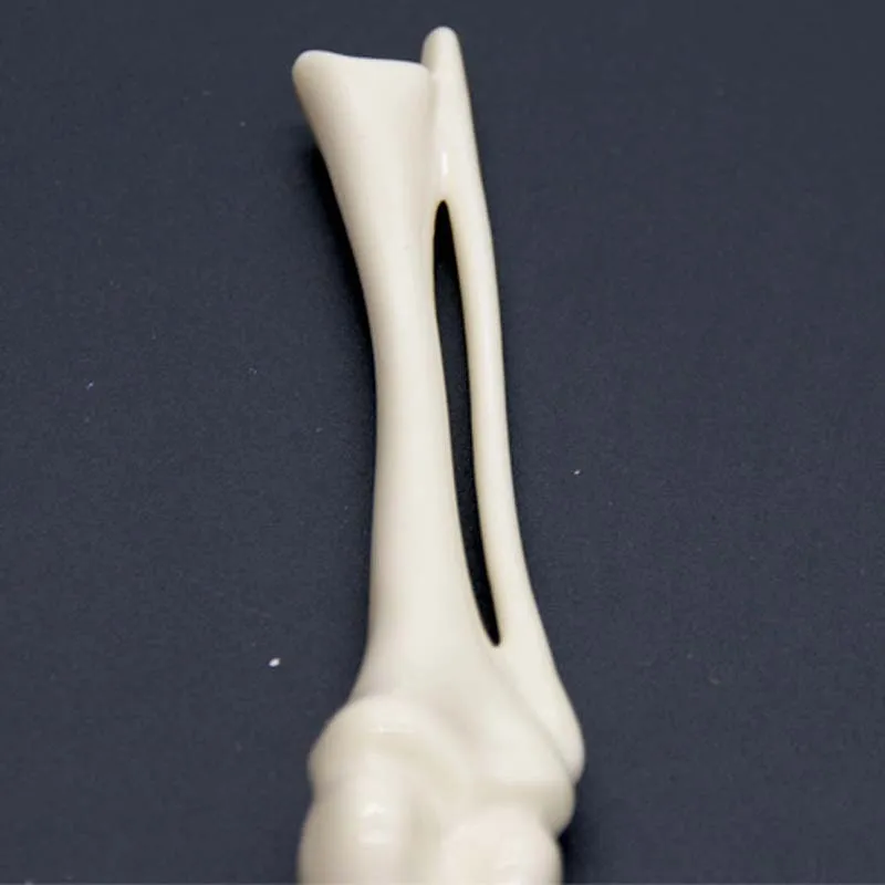 2017 크리 에이 티브 뉴스 볼 포인트 펜 모양의 뼈 간호사 의사 학생 편지지 고품질 무료 배송