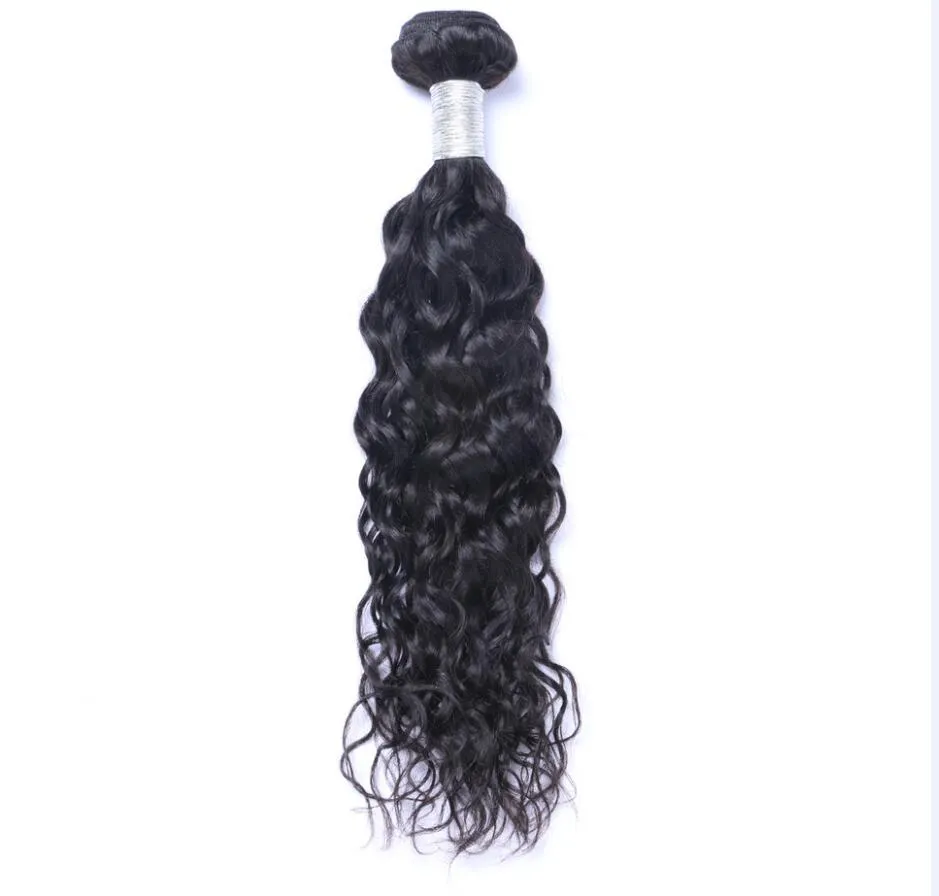 Cabelo humano virgem malaio onda natural onda de água não processado tece cabelo remy tramas duplas 100 g/pacote 1 pacote/lote pode ser tingido branqueado