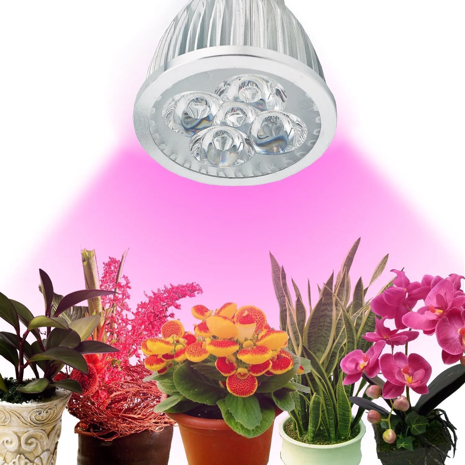 LED Bitki Işık Büyümek 5 W E27 Lamba Kırmızı / Mavi Kapalı Çiçek Hidroponik Sistemi Için