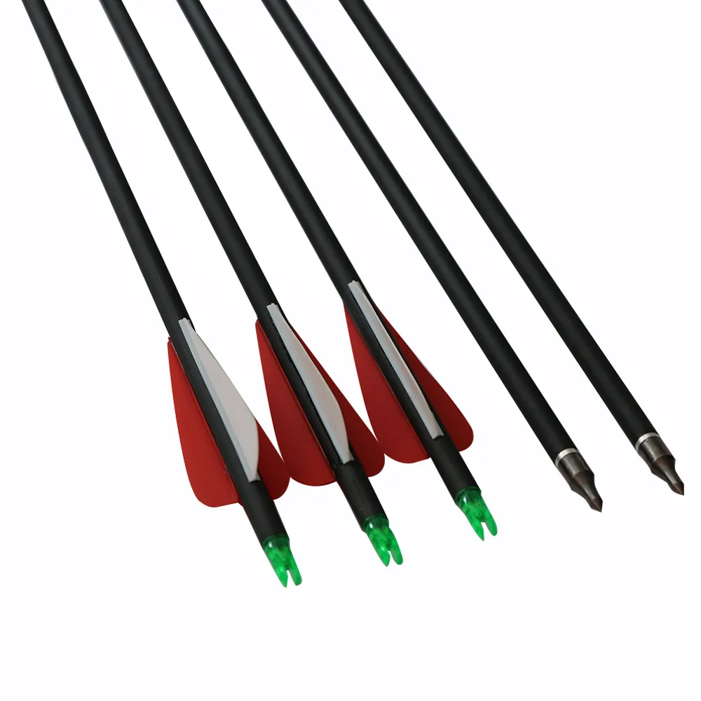 Plastic Vanes Carbon 31'' Arrows with Field Points Replaceable Tips for Recurve Bow and Compound Bow