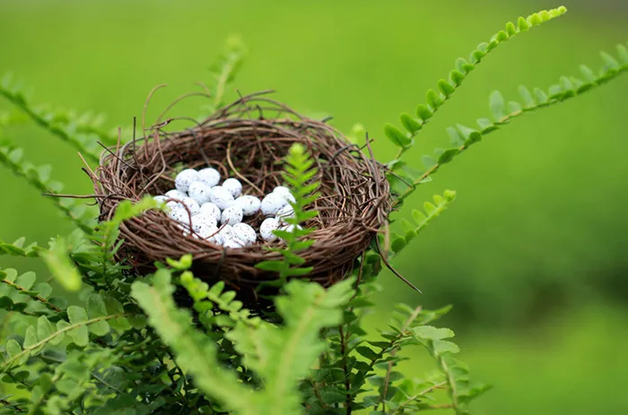 Miniatures de resina linda Mini pájaro Nido con huevos 2Suestra Decoración de hadas en miniatura para jardín Bonsai Home Proveedores