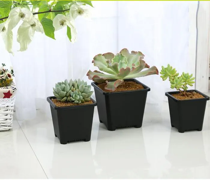 Groothandel Zwart Square Nursery Garden Succulente Potten voor Indoor Room Bonsai Planting Mini Flower Pot levert verschillende stijl potten optie