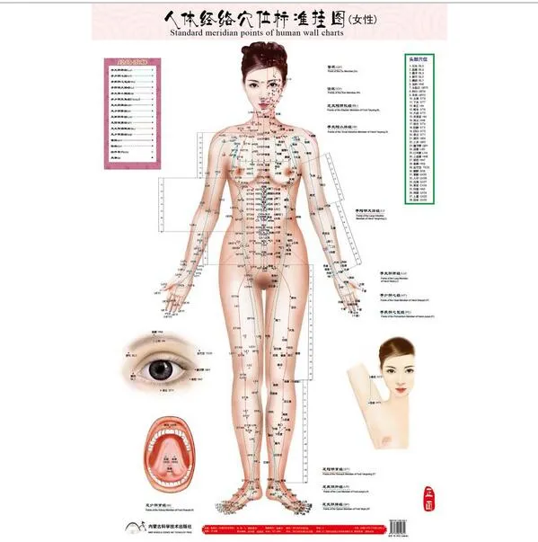 Tableau Mural Chinois Et Anglais Des Points D'acupuncture, Facile à  Comprendre, Enregistrement Détaillé, Affiche D'acupression Avec émoticône  Pour Hommes 