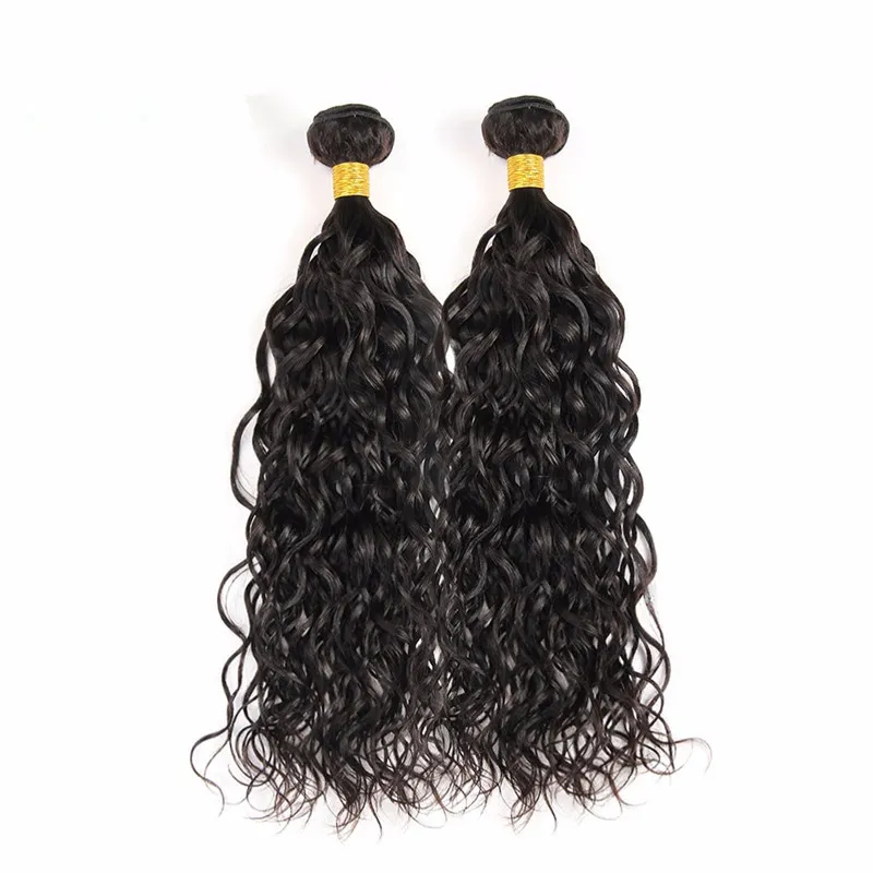 Elibess Water Wave Brazilian Hair Extension Big Curly 100 비공당 한 처녀 인간 머리 묶음 3pcs 많이 자연스러운 색상 머리 씨름