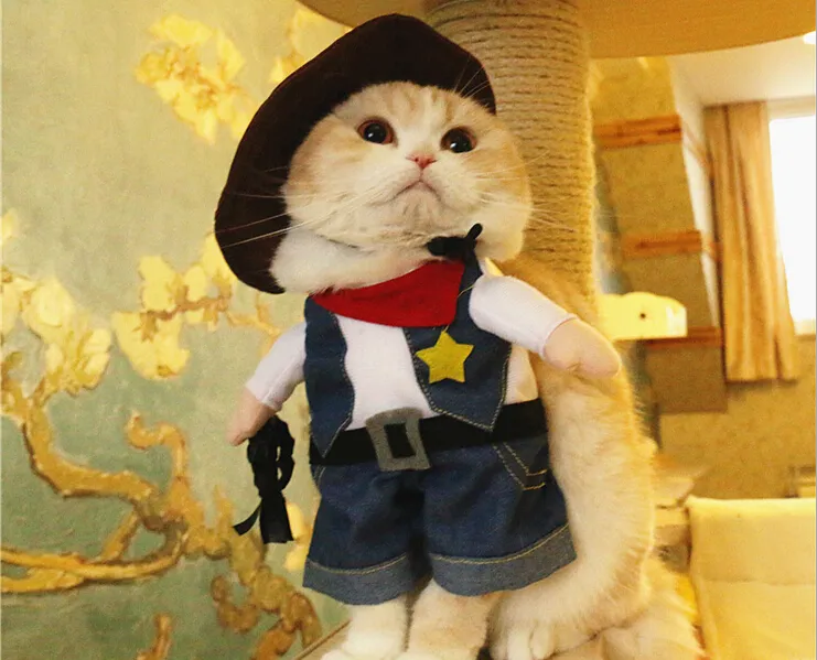 Dog Cat Cowboy Costume Blue Fiber Unisex Classic Design For Halloween Christmas New Year 2024 All Seasons From Shenzhentopsumcoltd 78.4 DHgate.Com