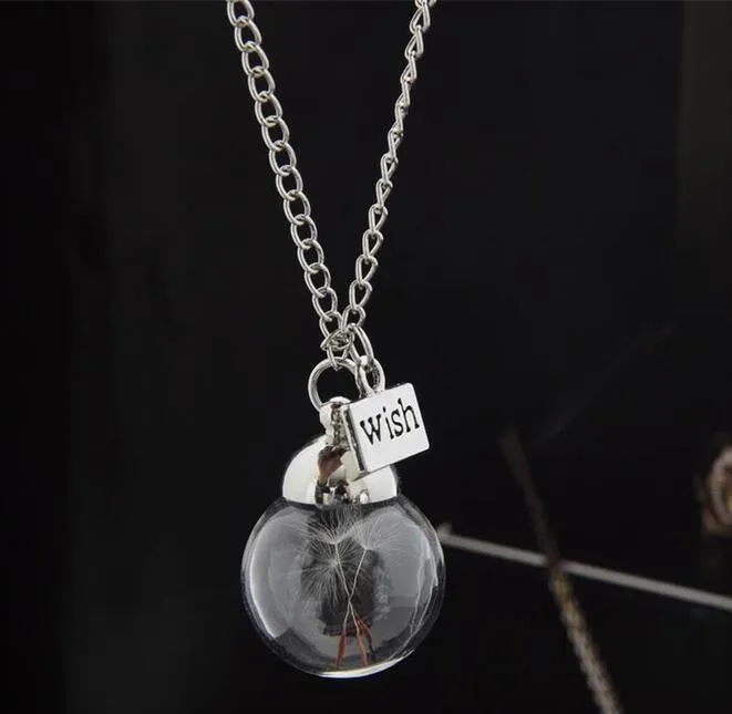 Collana in bottiglia di vetro Seme di tarassaco naturale in vetro La collana lunga Fare un pesca in vetro Wish Orb Collana placcata in argento Gioielli G1259452559