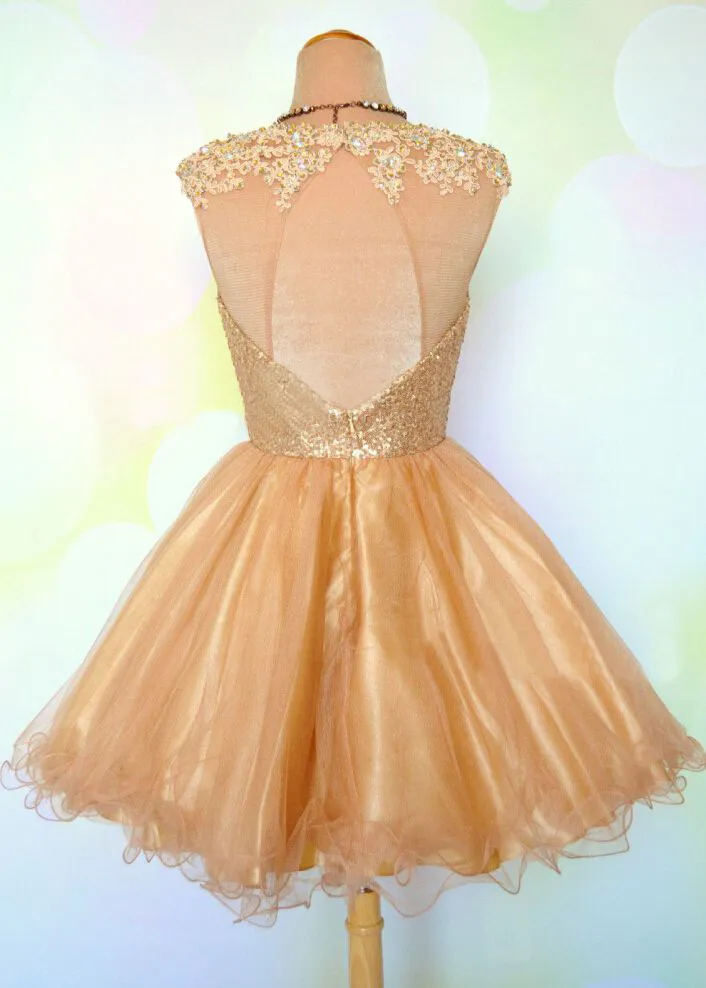 Short Tulle Homecoming Dress Ball Gown Scoop Neck Cap Sleeves Crystal  Beading Zipper Backless from Dhgate Homecoming Dresses - price 102.1