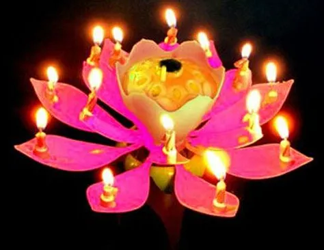 Amazing Musical Flower Music Candles Lotus Flower Candle Birthday Candles  Romantic Gift