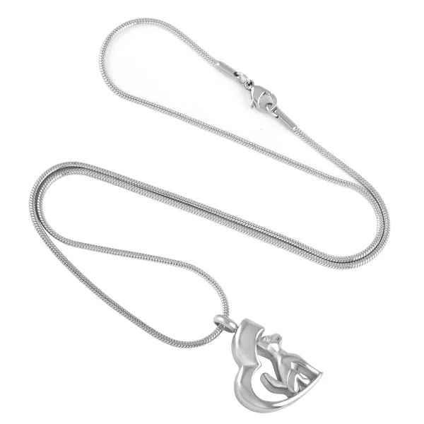 IJD8129 chien chat crémation en acier inoxydable pendentif collier cendres d'animaux souvenir urne support mémoire collier bijoux