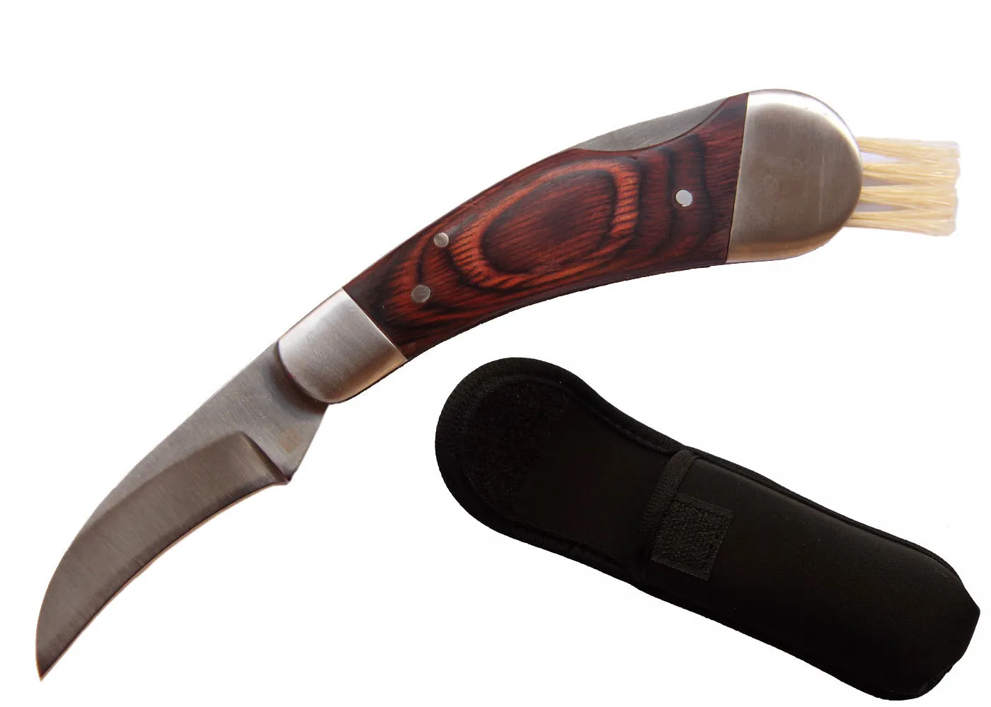 Coltello per funghi con setole di cinghiale Tartufi per funghi all'aperto Caccia Coltelli affilati con pennello e custodia in neoprene