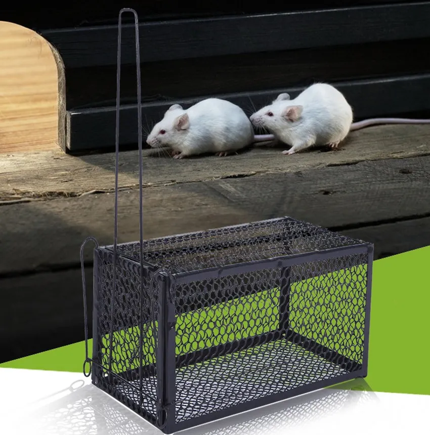 卸売-ラットケージマウス齧歯動物動物管理キャッチ餌ハムスターマウストラップ人道的なライブ高品質のブランドの新しい送料無料